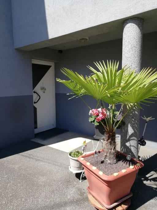 Appartement Agreable Haguenau Eksteriør billede